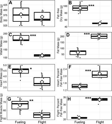 Physiomorphic Transformation in Extreme Endurance Migrants: Revisiting the Case of Bar-Tailed Godwits Preparing for Trans-Pacific Flights